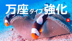 _CrO1